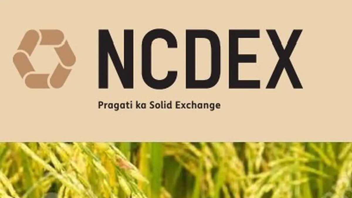 From Damani to Citadel: NCDEX Raises 770 Crore with Support from Market Heavyweights
